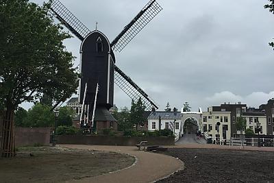 windmill